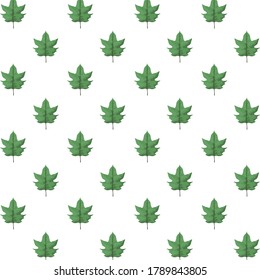 hojas tropicales patrón de naturaleza de la palma diseño de ilustración vectorial