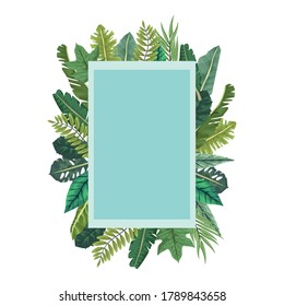 tropical leafs palm nature square frame vector illustration design