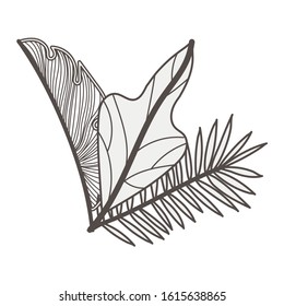 tropical leafs palms natural icons vector illustration design