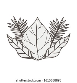 tropical leafs palms natural icons vector illustration design