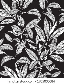 Tropical Leafs pattern, hand drawn outline, black and white seamless background. 