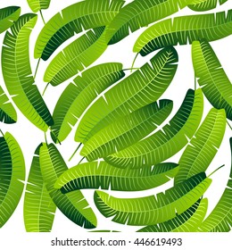 Tropical leafs pattern on white background