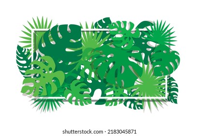 tropical leafs template background vector illustration