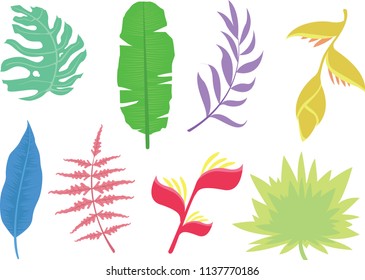 Tropical Leafs vector set