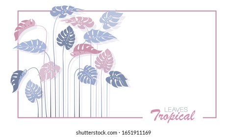 Tropical leafy background, frame. Monstera Leaves. Jungle. Exotic leaves of a plant isolated on a white background. Vector illustration with place for text. Large indoor flower for home or office.