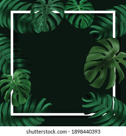 tropical leave background vector and illustrator