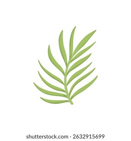 Tropical leave vector icon. Phoenix palm leaf isolated on white background. Simple flat vector illustration for your design style