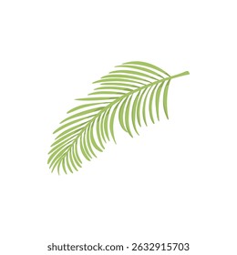 Tropical leave vector icon. Phoenix palm leaf isolated on white background. Simple flat vector illustration for your design style