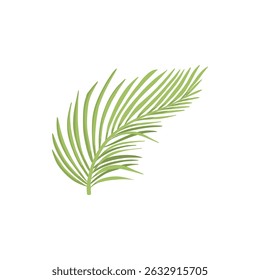 Tropical leave vector icon. Phoenix palm leaf isolated on white background. Simple flat vector illustration for your design style