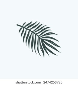 Tropical leave vector image.shape and logo vector
