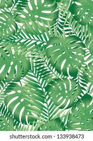 Tropical leaves