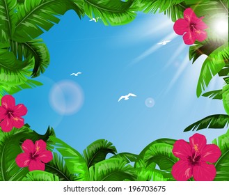 Tropical leaves