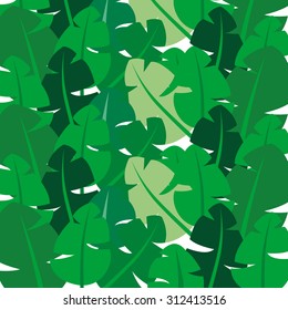 Tropical leaves 