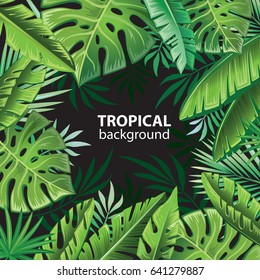 Tropical leaves