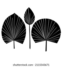 Tropical leaves. Abstract cartoon design. Jungle vector art. Palm foliage.