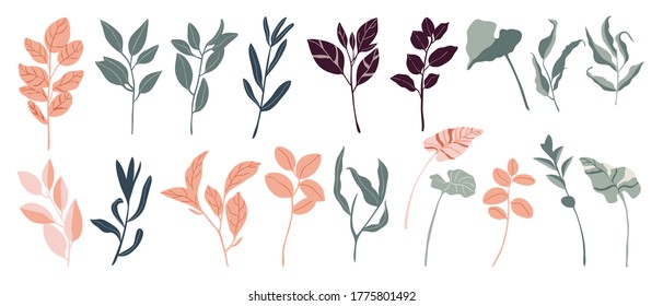 Tropical leaves and abstract exotic plan vector design elements on the white background.