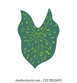 Tropical leaves and abstract exotic plant vector design elements on the white background. Flat Design jungle leaves. Nature plant tropical leaves