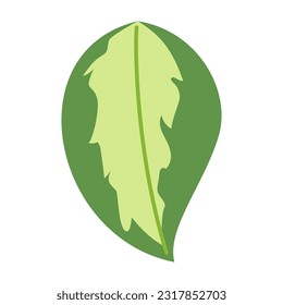 Tropical leaves and abstract exotic plant vector design elements on the white background. Flat Design jungle leaves. Nature plant tropical leaves