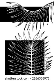 Tropical leaves Abstract Hand Painted Illustrations for Wall Decoration, Postcard, Social Media Banner, Brochure Cover Design Background. Modern Abstract Painting Artwork. Vector Pattern