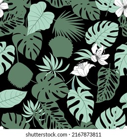 Tropical leaves and abstract patterns