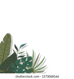 Tropical leaves angle background for your text vector illustration hand draw desing 