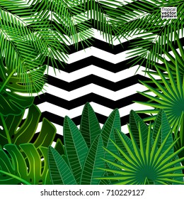 Tropical leaves background with geometric elements, vector floral patterns fashion trend.