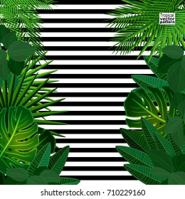 Tropical leaves background with geometric elements, vector floral patterns fashion trend.