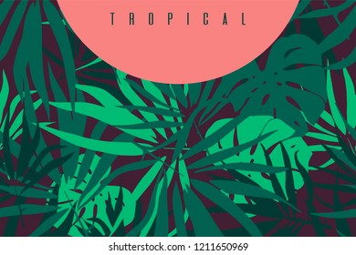 Tropical leaves. Background with palm tree leaf and monstera leaves . Vector illustration.