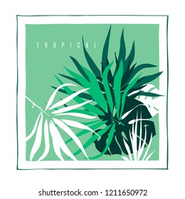 Tropical leaves. Background with palm tree leaf and monstera leaves . Vector illustration.