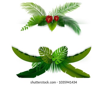 Tropical leaves background. Rectangle plants frame with space for text. Tropical foliage with horizontal banner