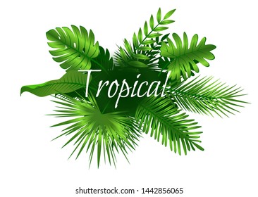 Tropical leaves background. Summer banner
