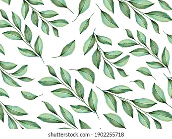 Tropical leaves background. Vector elements on the white background.
