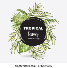 Tropical leaves background. Vector illustration with palm leaves and exotic plants. ESP10