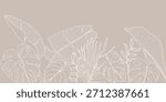 Tropical leaves background vector. Natural jungle monstera palm leaves design in minimal pale green color with contour line art. Design for fabric, print, cover, banner, decoration, wallpaper.