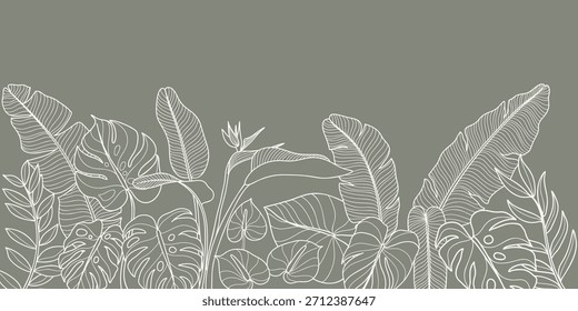 Vector de fondo de hojas tropicales. Diseño de hojas de palma monstera de selva natural en color verde pálido mínimo con arte de línea de contorno Diseño para tela, impresión, cubierta, Anuncio, decoración, Fondo de pantalla.