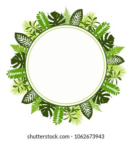 Tropical leaves background with white round banner. Palm,ferns,monsteras. Vector illustration