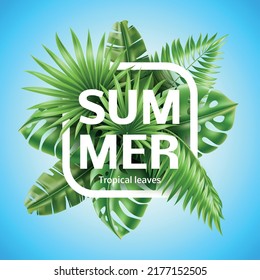 Tropical leaves banner. Exotic jungle green foliage composition, realistic palm elements, summer frame with monstera and banana, 3d isolated decorative aloha objects, utter vector concept