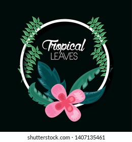 tropical leaves banner flower exotic nature dark background vector illustration