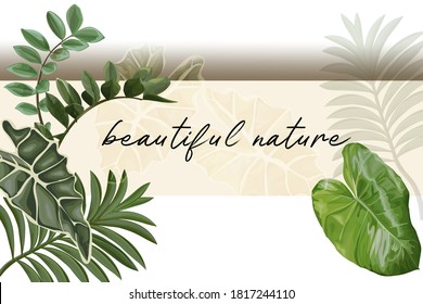 Tropical leaves banner vector illustration