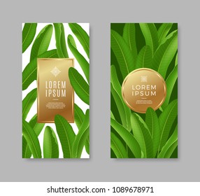 Tropical leaves banners with golden frame for text or message. Vector illustration.