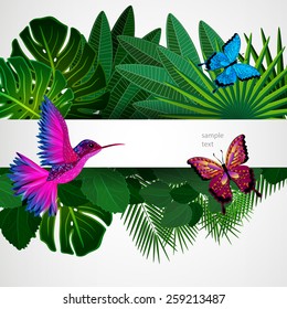 Tropical leaves with birds, butterflies. Floral design background with colibri.