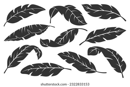 Tropical leaves black silhouette set. Minimalistic abstract exotic plant branches isolated on white background. Trendy botanical engraving stamp. Banana palm leaf sketch graphic floral elements