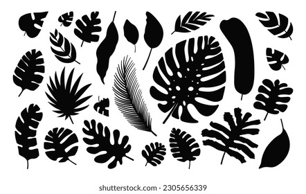 Tropical leaves black silhouettes set. Hand drawn Monstera, Calathea, Banana, palm exotic foliage. Simple doodle collection. Vector illustration isolated on white background