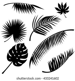 Tropical leaves black vector silhouettes on white