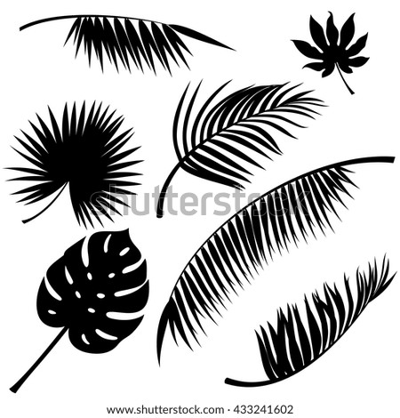 Similar – Image, Stock Photo Palm Palm leaf Growth
