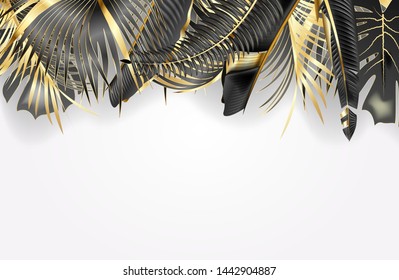Tropical leaves border Isolated on white background Abstract horizontal background for summer and seasonal design travel advertising and tourism