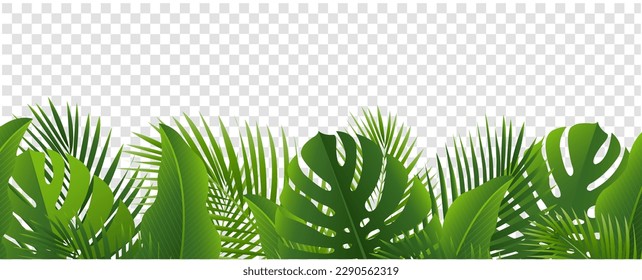 Tropical Leaves Border Isolated Transparent Background With Gradient Mesh, Vector Illustration