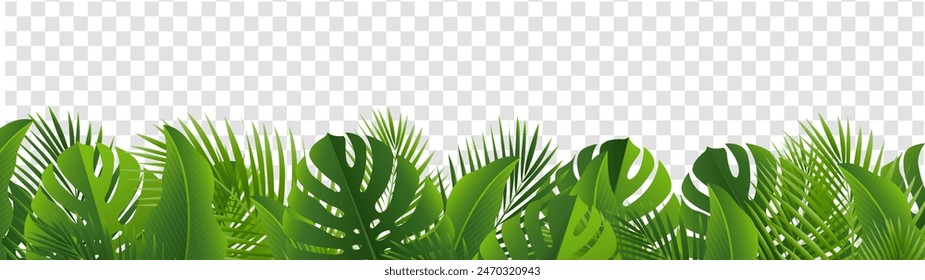 Tropical Leaves Border Isolated Transparent Background With Gradient Mesh, Vector Illustration
