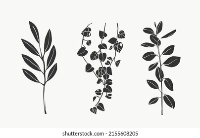 Tropical leaves and botanical leaves art. beautiful hand drawn exotic plants on white background. abstract modern or minimal plants line for posters. vector design.