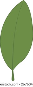 Tropical Leaves Botanical Elements Flat Style in Natural Pastel
